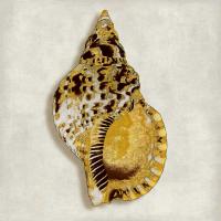 Golden Ocean Gems on Ivory III #CKL112804