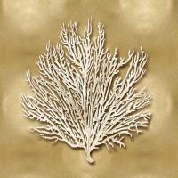 Sea Fan on Gold I #CKL114075