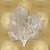 Sea Fan on Gold II #CKL114076