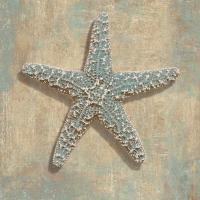 Aqua Starfish #CKL6937