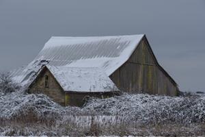 Winter Barn #CRO-1381