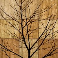 Tree Silhouette II #CSD6215 Tree Silhouette II #CSD6215