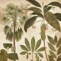 Palm Persuasion II #CSD7430 Palm Persuasion II #CSD7430