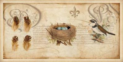 Nesting I #DDV7416 Nesting I #DDV7416