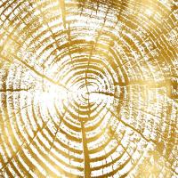 Chipped Gold I #DLC114093 Chipped Gold I #DLC114093