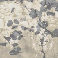 Nature II #DLC115005 Nature II #DLC115005