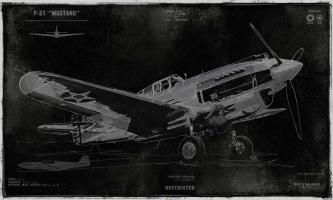 Vintage War Plane #DLM112075
