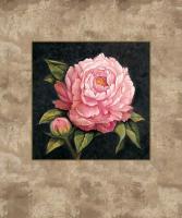 Pink Peony #ELO1973 Pink Peony #ELO1973