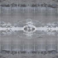 Transcendent II #ELR114175 Transcendent II #ELR114175
