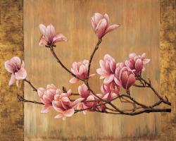 Pink Magnolias #ERL4676