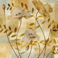 Poppy Dreams #ERL6412 Poppy Dreams #ERL6412