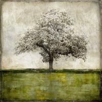 Majestic - Green #ERT113317 Majestic - Green #ERT113317