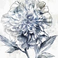 Japanese Peony II #EZ658-A Japanese Peony II #EZ658-A