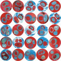 Red & Blue Circles #71410