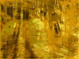 Golden Birch Meadow #86491