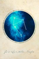 Libra #87367 Libra #87367