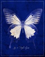 Blue Mountain Butterfly Cyanotype #87520 Blue Mountain Butterfly Cyanotype #87520