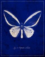 Malachite Butterfly Cyanotype #87521