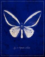 Malachite Butterfly Cyanotype #87521 Malachite Butterfly Cyanotype #87521
