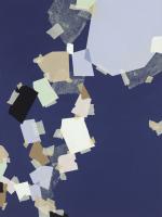 Patchwork 5 #91228 Patchwork 5 #91228