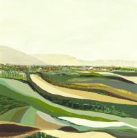 Topographs 5 #91234 Topographs 5 #91234