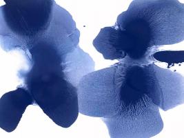 Dynamic Indigo #HC113421 Dynamic Indigo #HC113421