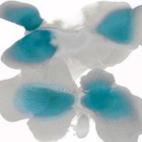 Instinctive Aqua #HC113425 Instinctive Aqua #HC113425