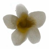 Bloom Taupe II #HC114200 Bloom Taupe II #HC114200