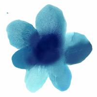 Blue Bloom I #HC114201