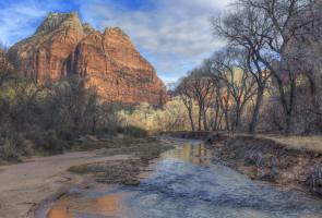 Zion Creek #91593 Zion Creek #91593