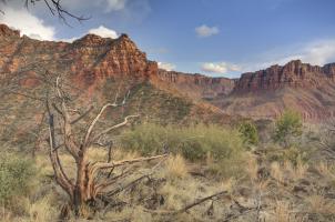 Upper Kolob Reservoir, Zion #91598 Upper Kolob Reservoir, Zion #91598