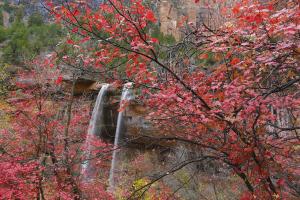 Zion Falls 1 #91602