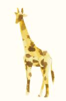 Giraffe #98519