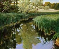 Cattail Creek #72226 Cattail Creek #72226