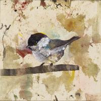 White Throated Sparrow #IE009-A White Throated Sparrow #IE009-A