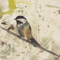 Spotted Flycatcher #IE011-A Spotted Flycatcher #IE011-A