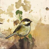 Eastern Kingbird #IE012-A Eastern Kingbird #IE012-A