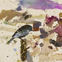Nuthatch #IE020-A Nuthatch #IE020-A