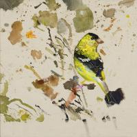 Tufted Titmouse #IE021-A Tufted Titmouse #IE021-A