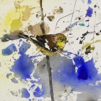 House Sparrow #IE022-A