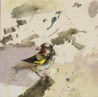Fieldfare #IE027-A Fieldfare #IE027-A