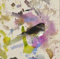 Siskin #IE029-A Siskin #IE029-A