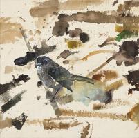 Wheatear #IE032-A Wheatear #IE032-A