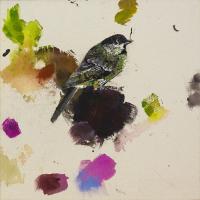 Green Chaffinch #IE037-A Green Chaffinch #IE037-A
