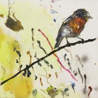 Red Bellied WIllow #IE043-A Red Bellied WIllow #IE043-A