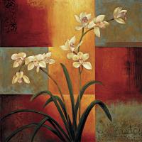 White Orchid #ILD4463 White Orchid #ILD4463