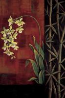 Green Orchid #ILD4740