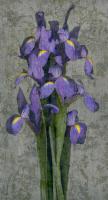 Purple Iris #IS4064