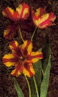 Decorative Tulips I #IS4494 Decorative Tulips I #IS4494