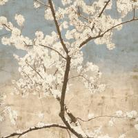 Cherry Blossoms I #IS5803 Cherry Blossoms I #IS5803